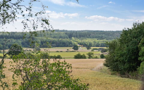 Hansen - 5.2Km from the Sea: Tag, Hus, Land Lot, Hjem, Sommerhus, Estate, Garden Bygninger, Skygge, Bjælkehytte, Landscaping