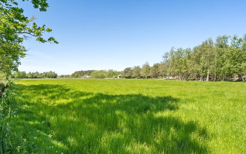 Aldina - 1.6Km from the Sea: 
