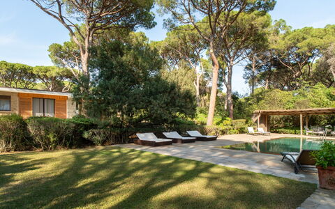Villa La Pineta: Plante, Himmel, Bygning, Vindue, Træ, Skygge, Land Lot, Græs, Boligområde, Sommerhus