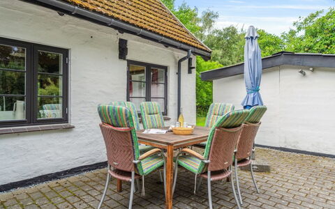 Rina - 250M from the Sea: Vegetationen, Busk, Forår, Sommerhus, Have, Skygge, Backyard, Gård, Stol