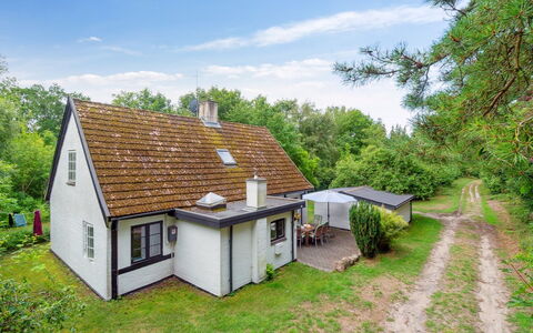 Rina - 250M from the Sea: Vegetationen, Busk, Forår, Sommerhus, Have, Skygge, Backyard, Gård, Stol