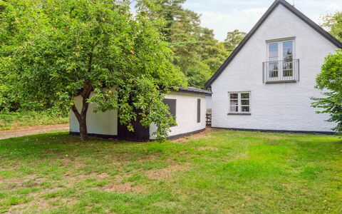 Rina - 250M from the Sea: Vegetationen, Busk, Forår, Sommerhus, Have, Skygge, Backyard, Gård, Stol
