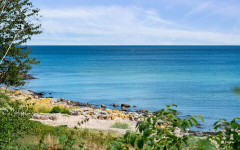 Helin - 100M from the Sea: Vegetationen, Busk, Forår, Sommerhus, Have, Skygge, Backyard, Gård, Stol