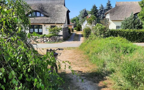 Fischerbungalow: Plante, Himmel, Ejendom, Plantesamfund, Naturlige Landskab, Vindue, Bygning, Land Lot, Hus, Træ