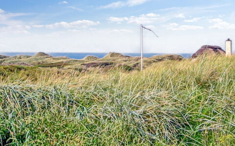 Hoat - 300M from the Sea: Tag, Skur, Sommerhus, Garden Bygninger, Sidespor, Hårdttræ