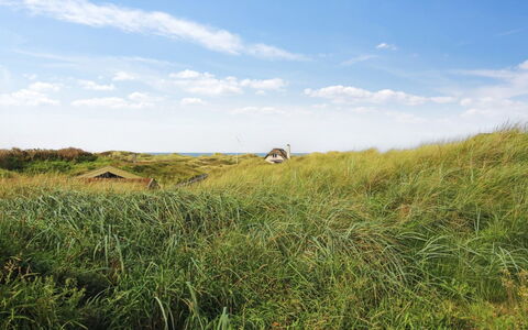 Hoat - 300M from the Sea: Himmel, Blå, Græs, Grøn, Naturligt Miljø, Græs-, Vegetationen, Økoregion, Sommer, Prærie