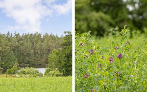 Skogstorpet: Vindue, Bygning, Azure, Træ, Etage, Komfort, Hus, Gulvbelægning, Hal