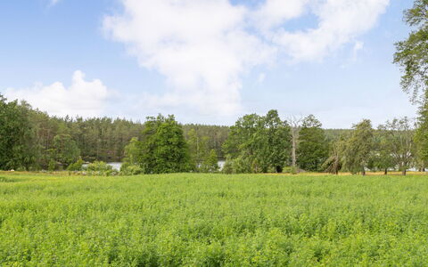Skogstorpet: Vindue, Bygning, Azure, Træ, Etage, Komfort, Hus, Gulvbelægning, Hal