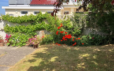 Merete - 50M from the Sea: Tag, Hus, Hjem, Sommerhus, Sidespor, Estate, Indkørsel, Garden Bygninger, Gård, Skur