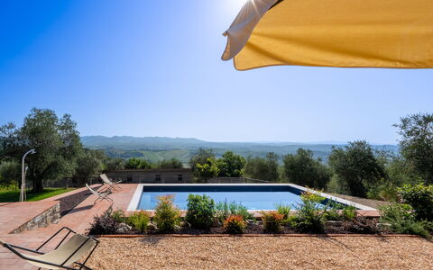 Casa Di Luca, Pool, Castelnuovo Berardenga: Svømmepøl, Landskab, Have, Landscaping, Udvej, Eco Hotel, Skygge, Liggestol, Udendørs Møbler, Estate