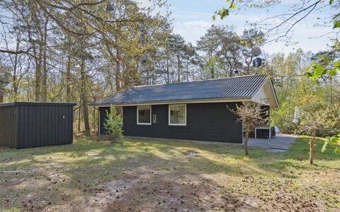 Idalina - 700M from the Sea: Tag, Hus, Land Lot, Hjem, Sommerhus, Estate, Garden Bygninger, Skygge, Bjælkehytte, Landscaping