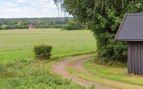Thana - 8Km from the Sea: Grøn, Græs, Træ, Blad, Naturlige Landskab, Vegetationen, Græs-, Busk, Sommer