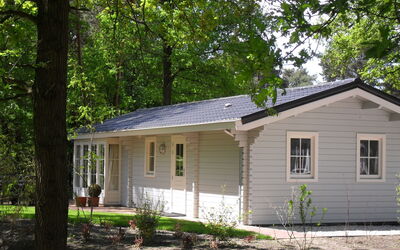 Feriebolig:&nbsp;Fins Chalet 4 301.6