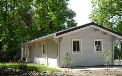 Feriebolig:&nbsp;Fins Chalet 4 301.6