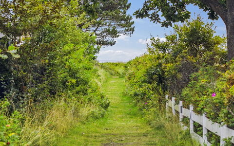 Akseline - 300M from the Sea: Tag, Hjem, Sommerhus, Estate, Udendørs Møbler, Gård, Udendørs Bord, Gårdsplads, Backyard, Villa