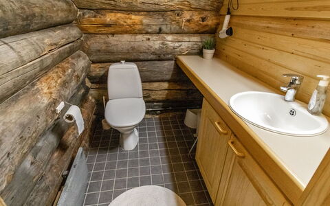 Villihanhi: Træ, Toiletbræt, Sanitærarmatur, Gulvbelægning, Toilet, Etage, Badeværelse, Badeværelsesvask, Vvs, Håndvask