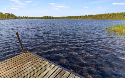 Villihanhi: Blå, Vand, Vandressourcer, Krop Af Vand, Naturlige Landskab, Sommer, Vandvej, Bank, Sø, Vandløb