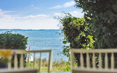 Snari - 10M from the Sea