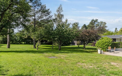 Rother - 50M from the Sea: Tag, Hjem, Dør, Sommerhus, Skygge, Sidespor, Gård, Estate, Backyard