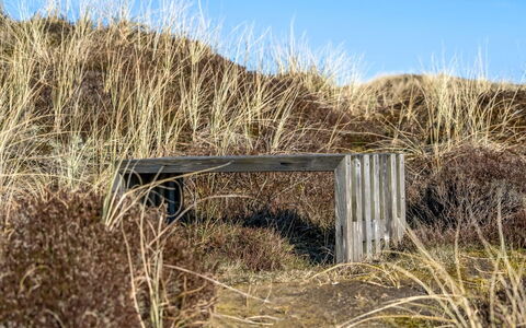 Pauli - 350M from the Sea: Træ, Gulvbelægning, Indretning, Etage, Møbel, Trægulve, Værelse, Loft, Bejdse, Hårdttræ