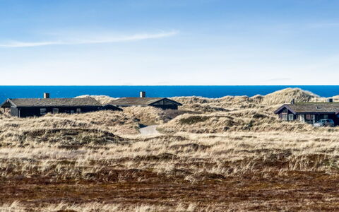 Pauli - 350M from the Sea: Græs, Grøn, Hus, Sommerhus, Græs-, Landdistrikt, Økoregion, Landskab, Land Lot, Busk