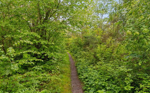 Arkil - 150M from the Sea: Bjergrige Landskabsformer, Bjerg, Bakke, Bjergkæde, Hill Station, Menneskelig Bosættelse, Urban Design, Alps, Dal, Topmøde