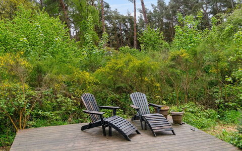 Arkil - 150M from the Sea: Tag, Hus, Land Lot, Hjem, Sommerhus, Estate, Garden Bygninger, Skygge, Bjælkehytte, Landscaping