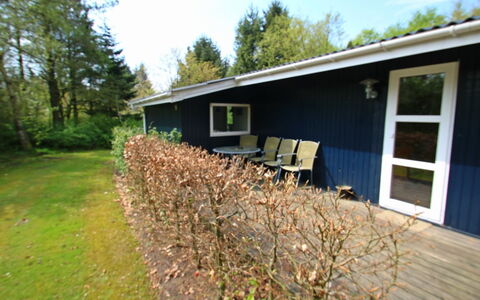 Aki - 30Km from the Sea