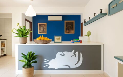 L'Oasi della Gatta Panciona: Indretning, Wall Sticker, Møbel, Køkken, Maling, Countertop, Værelse, Cabinetry, Loft, Design