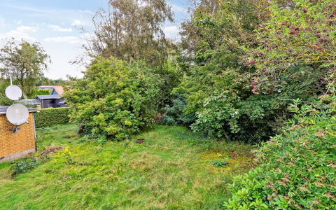 Magh - 9.8Km from the Sea: Vegetationen, Busk, Have, Land Lot, Plantesamfund, Landdistrikt, Bunddække, Forår, Lawn