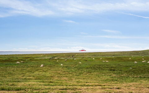 Rohan - 2.2Km from the Sea: Tag, Hus, Hjem, Sommerhus, Dør, Sidespor, Dæk, Veranda, Planke, Hårdttræ