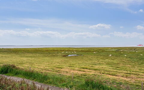 Rohan - 2.2Km from the Sea: Tag, Hus, Hjem, Sommerhus, Dør, Sidespor, Dæk, Veranda, Planke, Hårdttræ