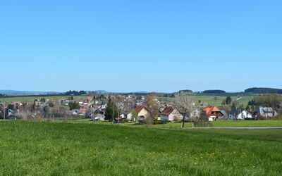 Spatzenparadies