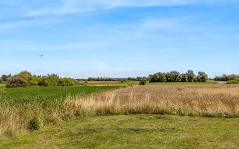 Haralde: Himmel, Blå, Grøn, Daytime, Græs, Naturligt Miljø, Græs-, Naturlige Landskab, Økoregion, Vegetationen
