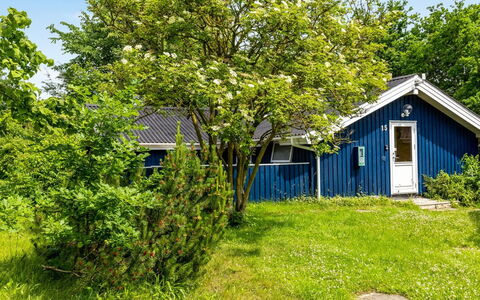 Alrun - 150M from the Sea: Busk, Have, Sommerhus, Forår, Lawn, Skygge, Gård, Landscaping, Backyard, Stuehus