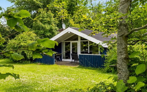 Alrun - 150M from the Sea: Busk, Sommerhus, Hus, Hjem, Bunddække, Have, Skygge, Garden Bygninger, Estate, Lawn