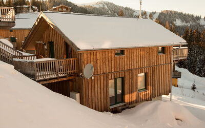 Alpenchalet 341