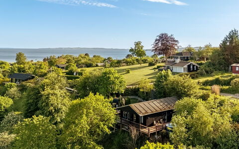 Leif - 400M from the Sea: Vegetationen, Landskab, Busk, Plantesamfund, Land Lot, Landdistrikt, Sommerhus, Estate, Have, Landscaping