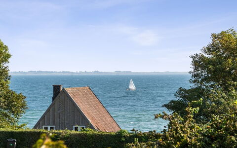 Algut - 75M from the Sea: Tag, Hus, Land Lot, Hjem, Sommerhus, Estate, Garden Bygninger, Skygge, Bjælkehytte, Landscaping