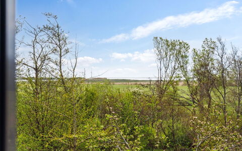 Othinkarl - 1Km from the Sea: Græs, Græs-, Landskab, Økoregion, Almindeligt, Plantesamfund, Land Lot, Udendørs Møbler, Prærie, Shrubland