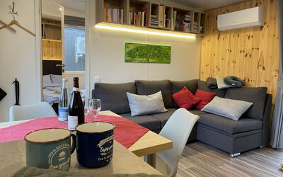 Feriebolig:&nbsp;Tiny Haus Neschtle 200.7