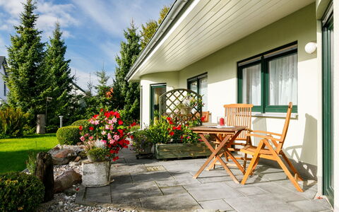 Schneider: Plante, Blomst, Bygning, Ejendom, Vindue, Sky, Himmel, Blomsterkrukke, Hus, Træ