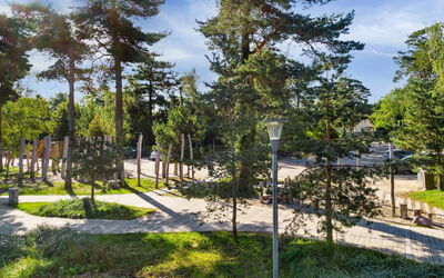 Sophy - 150M from the Sea