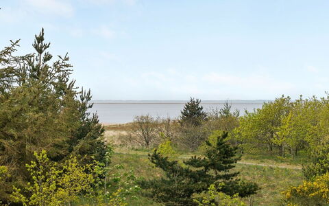 Jonne - 200M to the Fjord: Himmel, Blad, Naturligt Miljø, Vegetationen, Naturlige Landskab, Busk, Økoregion, Plantesamfund, Græs-, Landskab