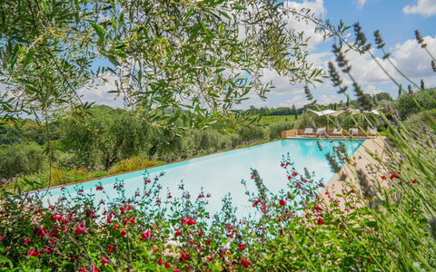 Villa Bartolomeo: Vand, Plante, Blomst, Himmel, Sky, Natur, Træ, Naturlige Landskab, Svømmepøl, Græs