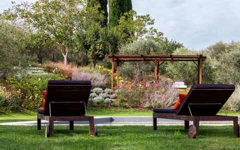 Villa Della Regina: Plante, Udendørs Bench, Møbel, Blomst, Botanik, Natur, Skygge, Udendørs Møbler, Træ