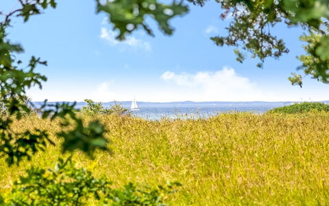 Thara - 100M from the Sea: Himmel, Blå, Grøn, Daytime, Vegetationen, Gul, Horisont, Sommer, Græs-, Naturlige Landskab