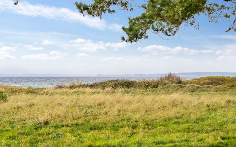 Thara - 100M from the Sea: Boligområde, Busk, Hus, Hjem, Have, Estate, Skygge, Landscaping, Lawn