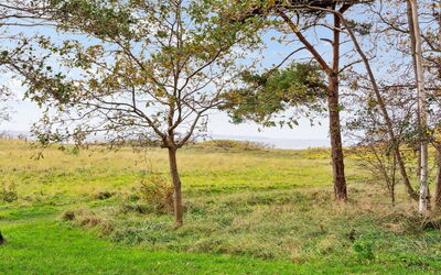 Thara - 100M from the Sea