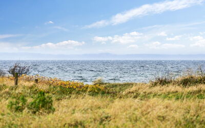 Thara - 100M from the Sea